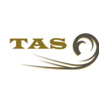 Technology Advisory Services logo - Similar company to Erp Dynamics