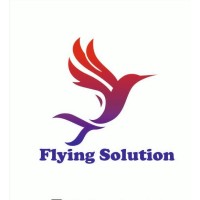 Flying Solution logo - Similar company to Flying Solutions