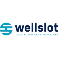 WellSlot logo - Similar company to Hp Well Screen B.V.