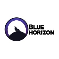 Blu Horizon logo - Similar company to Vidx
