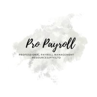 Professional Payroll Management Resources(Pty)Ltd logo - Similar company to Payroll Professional