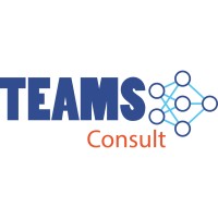 Teams Consult GmbH logo - Similar company to Vistafon