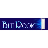 Blu Room Enterprises logo - Similar company to 4Th Wave Technologies