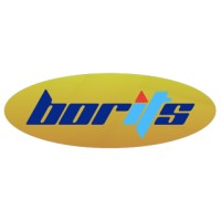 Borits Private Limited logo - Similar company to Byt3M3