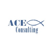 ACE Consulting Company, Inc. logo - Similar company to Ace Consulting Group