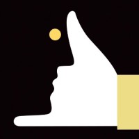 FENAN Consulting logo - Similar company to Soyka Nl