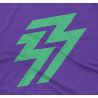 Zebra Regen House logo - Similar company to Medsynth