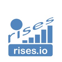 Rises Analytics Solutions Pvt Ltd logo - Similar company to Glimpse Analytics