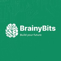 BrainyBits logo - Similar company to Brainybitz