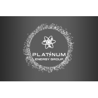 Platinum Energy Group logo - Similar company to Dnstore.Io - Iot And Ai Official B2B Distributor Based In Eu (Spain)