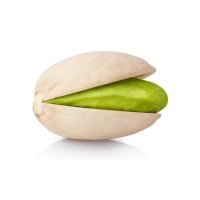 Sancorganic S.L.U