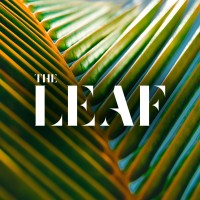 The Leaf logo - Similar company to Desync Studio