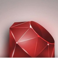 Dakar Ruby Brigrade logo - Similar company to Dakar Coaching Week