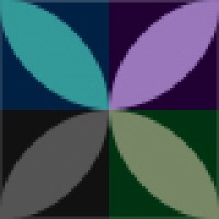 Tax and Forensic Accounting Solutions LLC logo - Similar company to The Tax Reduction Network