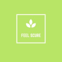 Feel Secure logo - Similar company to Feelsecure