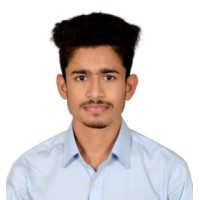 WordPress Naimur logo - Similar company to The Seo Magician - Ismail Hossain