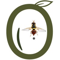 GO OliVAr logo - Similar company to Go Olike