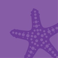 Starfish People HR logo - Similar company to Ncs Hr Solutions Limited