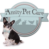 Amity Pet Care logo - Similar company to Mr Pet
