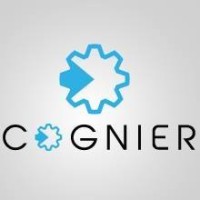 COGNIER INSIGHTS PVT LTD logo - Similar company to Vipra Infotech Private Limited