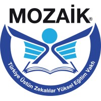 Mozaik Eğitim Kurumları logo - Similar company to Tüzdev - Türkiye Üstün Zekalı Ve Dahi Çocuklar Eğitim Vakfı