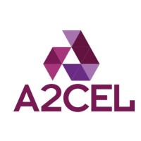 A2 Cel Consultoria logo - Similar company to Grupo Datamétrica