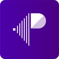 Pixels Perfection logo - Similar company to Pixel Perfect