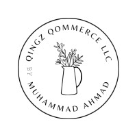 Qingz Qommerce LLC logo - Similar company to Jibran Syed