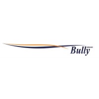 Autocars Bully logo - Similar company to Protegat Cover