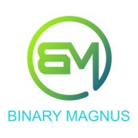 BinaryMagnus Solutions Pvt Ltd logo - Similar company to Imtech Solution