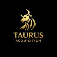 Taurus Acquisition logo - Similar company to Ankhlabs Gmbh