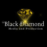 VSP - Black Diamond Media & Production Pvt. Ltd. logo - Similar company to Mccoy Animation