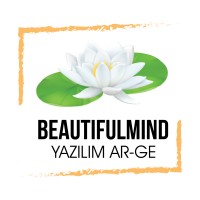 Beautifulmind Software logo - Similar company to Acelerex