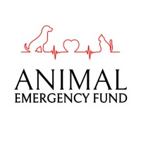 Animal Emergency Fund logo - Similar company to Pase - Philadelphia Animal Specialty & Emergency