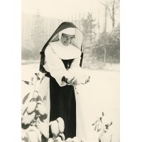 Erfgoedhuis Zusters van Liefde JM logo - Similar company to Grace: Ghent Research Institute For Art & Cultural Heritage Crime And Law Enforcement