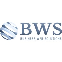 Business Web Solutions (India) logo - Similar company to Cyborgwave