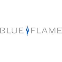 Blue Flame Management logo - Similar company to Jd Telecom
