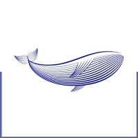 BLUE AD logo - Similar company to Dream Aero