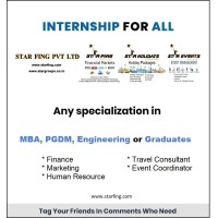 Star Fing Pvt Ltd logo - Similar company to Star Fing