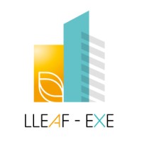 LLEAF-EXE // Maîtrise d'Oeuvre d'Exécution logo - Similar company to Synth&Bim