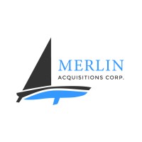 Merlin Acquisitions Corp. logo - Similar company to Techstrategylabs Inc.