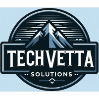 TechVetta Solutions logo - Similar company to 703 Warriors