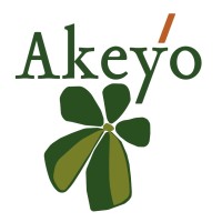 Akeyo Africa logo - Similar company to Heave Media Limited