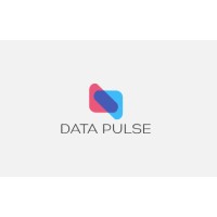 Data Pulse Solution logo - Similar company to Data Pulse