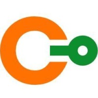 Cypher Circuits logo - Similar company to Dsr Systems