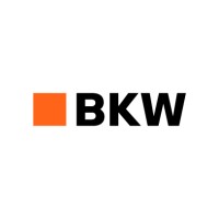 BKW Rail AG logo - Similar company to Doroad