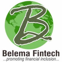 Belema Financial Technology Limited logo - Similar company to Solvex