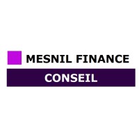 MESNIL FINANCE logo - Similar company to Altéir Consulting