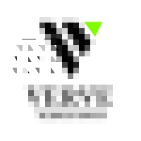 Verve Search Group logo - Similar company to Verve Group