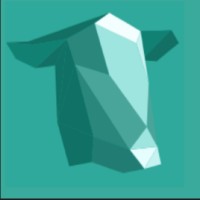 Lasso logo - Similar company to Cocaptain